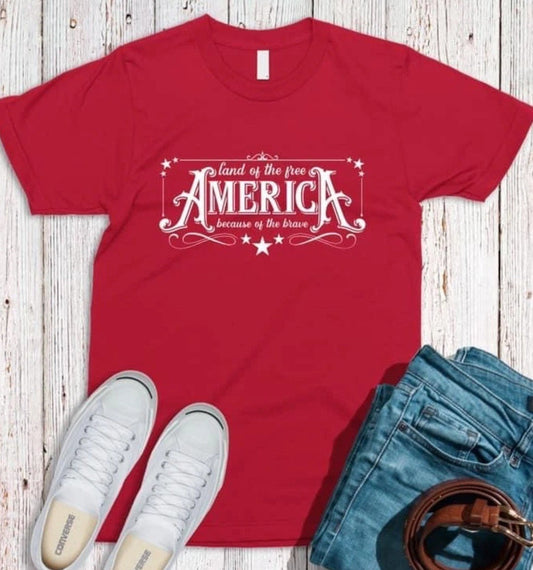 America Land of the free /  SCREEN print transfer / love / USA /Ready To Press / Heat Transfer / 4th of July